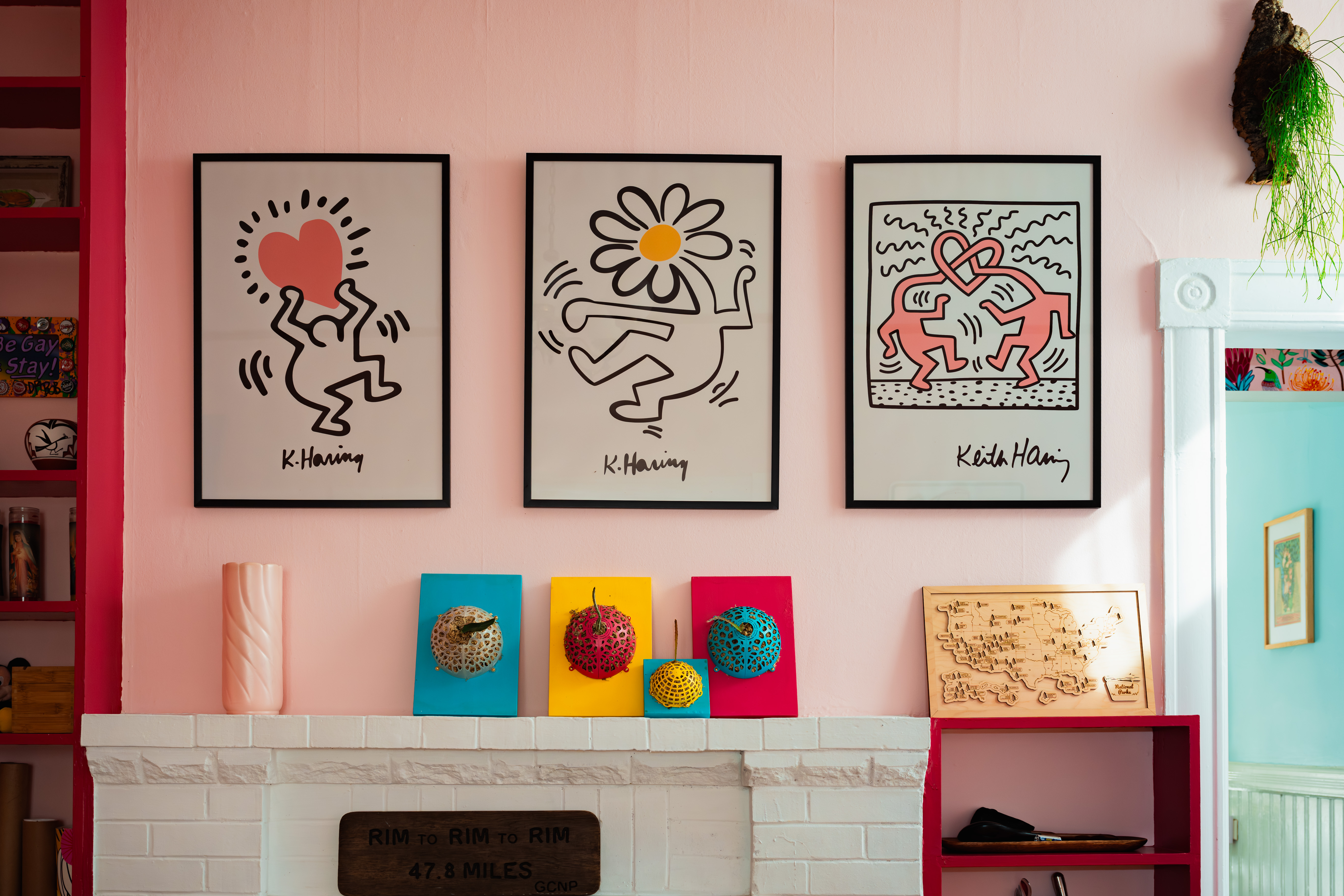 Close-up of a living room wall with modern art and colorful plant displays